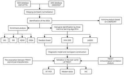 Integrated transcriptomic analysis and machine learning for characterizing diagnostic biomarkers and immune cell infiltration in fetal growth restriction